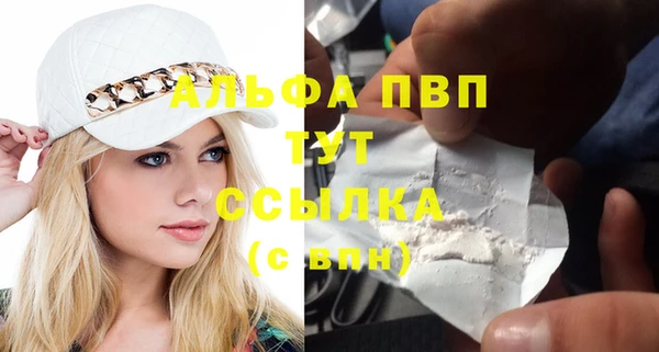 гидра Алексеевка