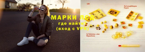стаф Алексин