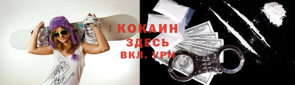 гидра Алексеевка