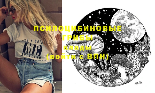 ГАЛЛЮЦИНОГЕННЫЕ ГРИБЫ Абдулино