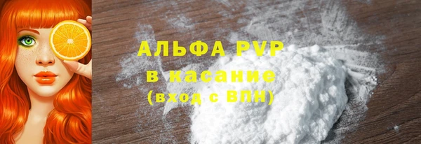 ПСИЛОЦИБИНОВЫЕ ГРИБЫ Абаза